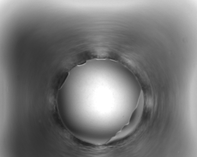X0000089450609200706221248