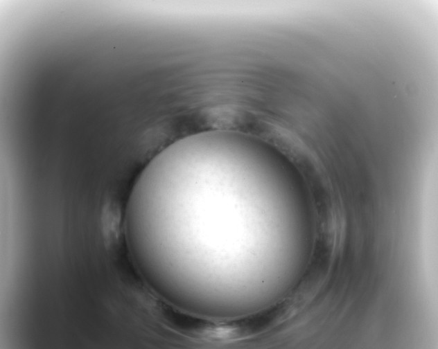X0000089450610200706221248