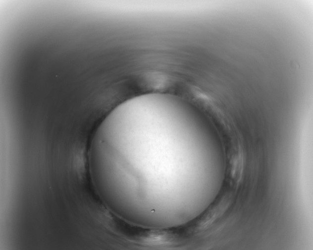 X0000089450612200706221248