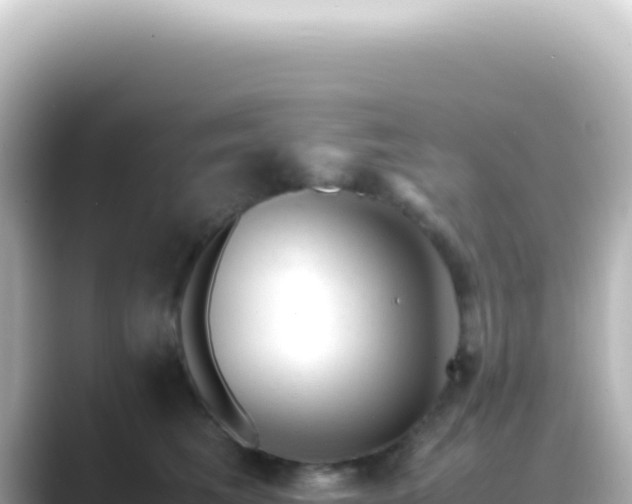 X0000089450613200706221248