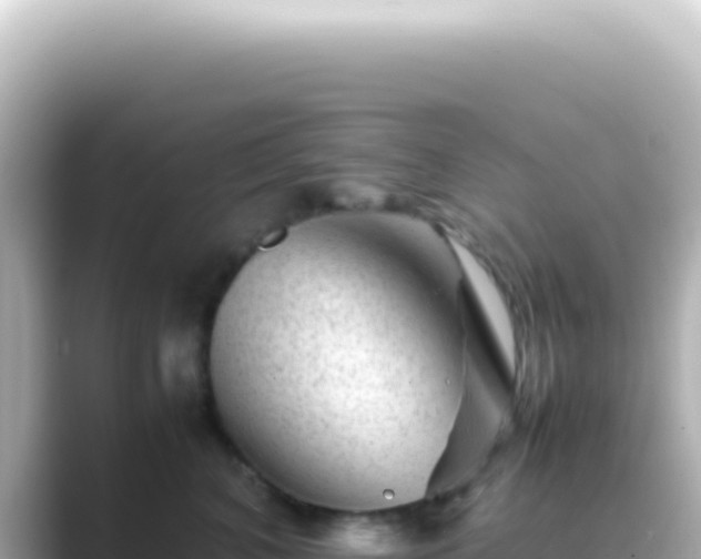 X0000089450616200706221248
