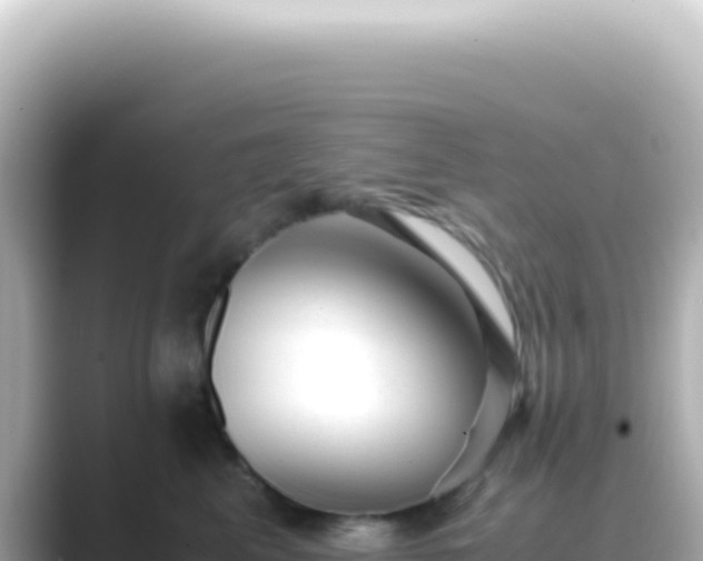 X0000089450617200706221248
