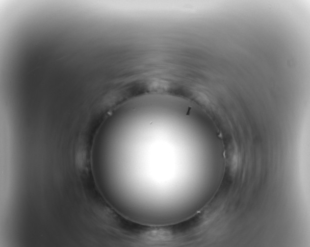 X0000089450619200706221248