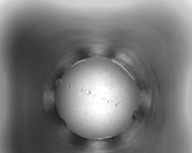 X0000089450621200706221248