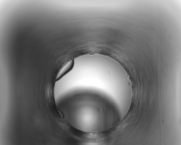 X0000089450623200706221248