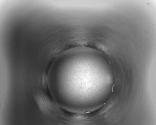 X0000089450624200706221248