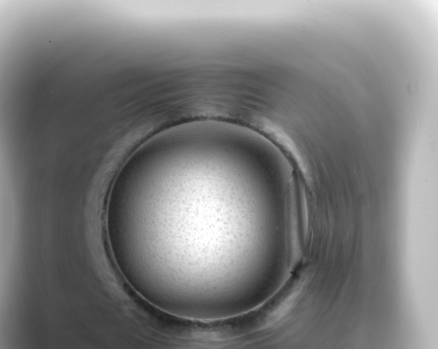X0000089450625200706221247