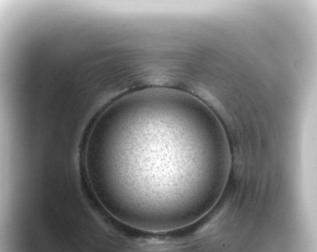 X0000089450626200706221247