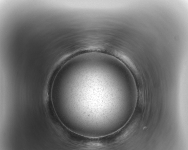 X0000089450628200706221247