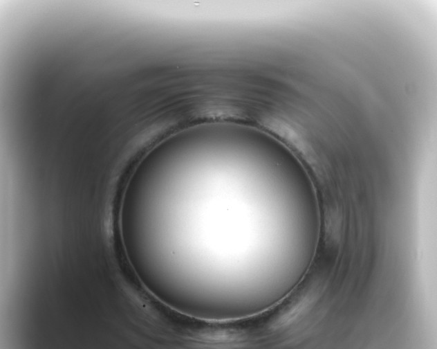 X0000089450629200706221248