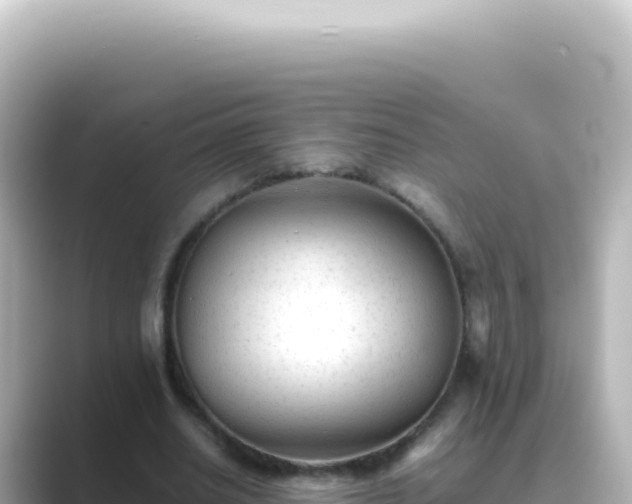 X0000089450630200706221248