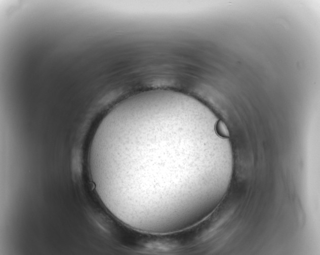 X0000089450631200706221248