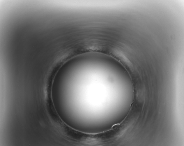X0000089450635200706221248