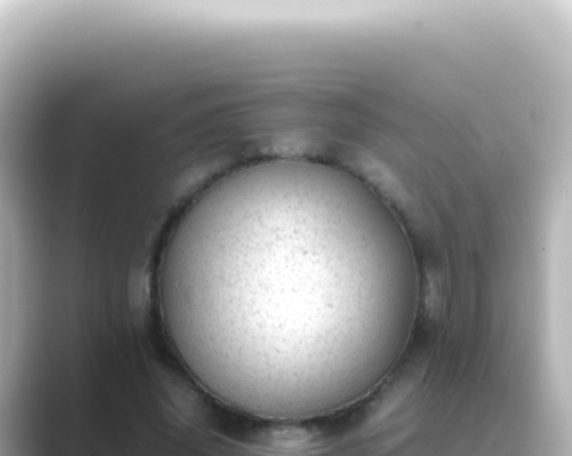 X0000089450636200706221248