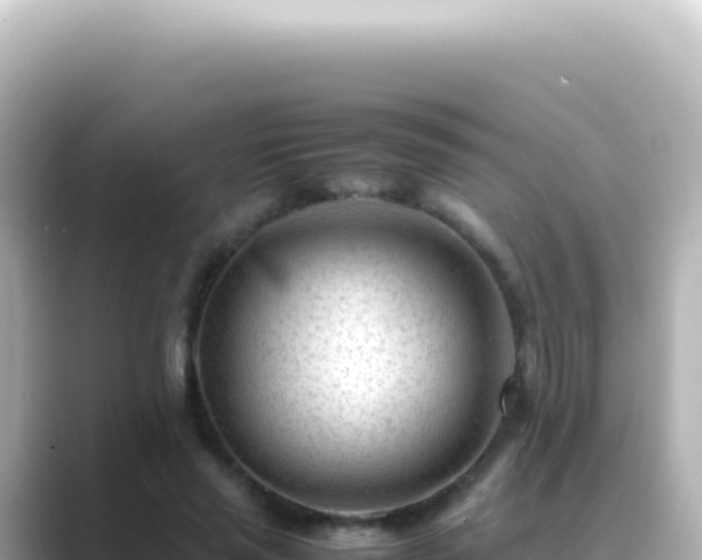 X0000089450637200706221248