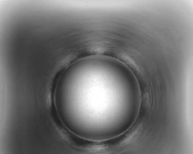 X0000089450638200706221248