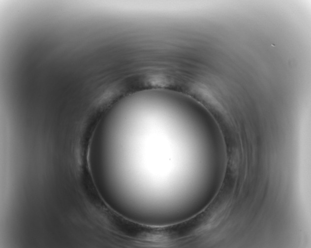X0000089450639200706221248