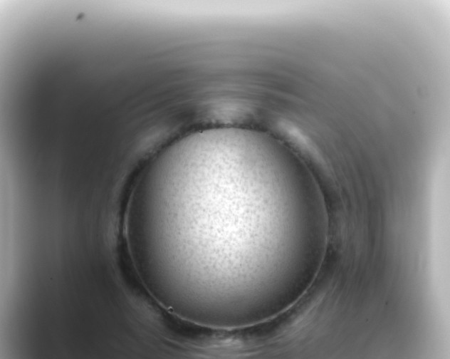 X0000089450640200706221248