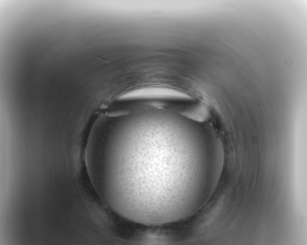 X0000089450641200706221248