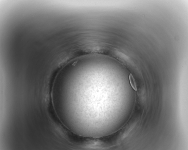 X0000089450642200706221248