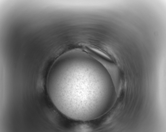 X0000089450643200706221248