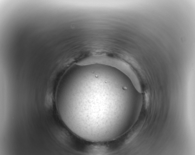X0000089450644200706221248