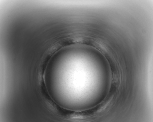 X0000089450648200706221248