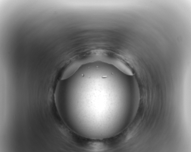 X0000089450649200706221248