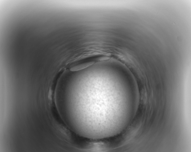 X0000089450650200706221248