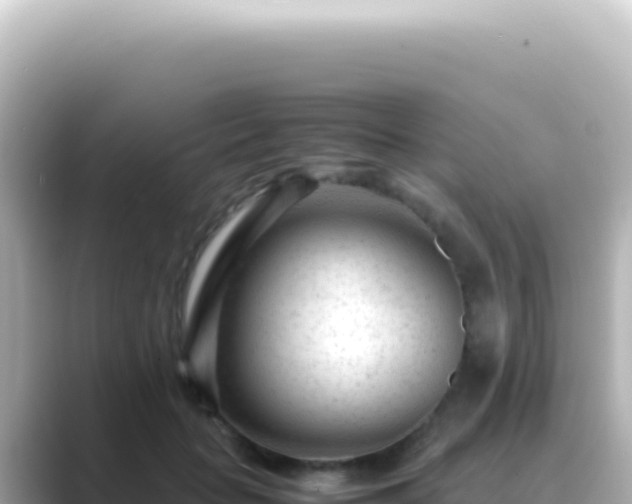 X0000089450653200706221248