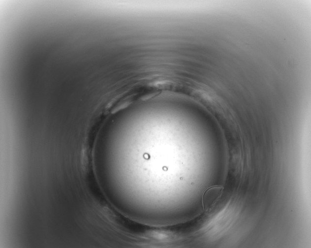 X0000089450654200706221248