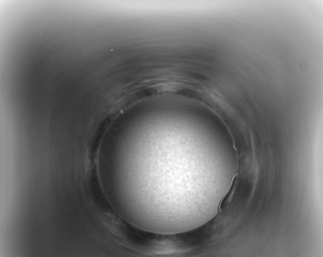 X0000089450655200706221248