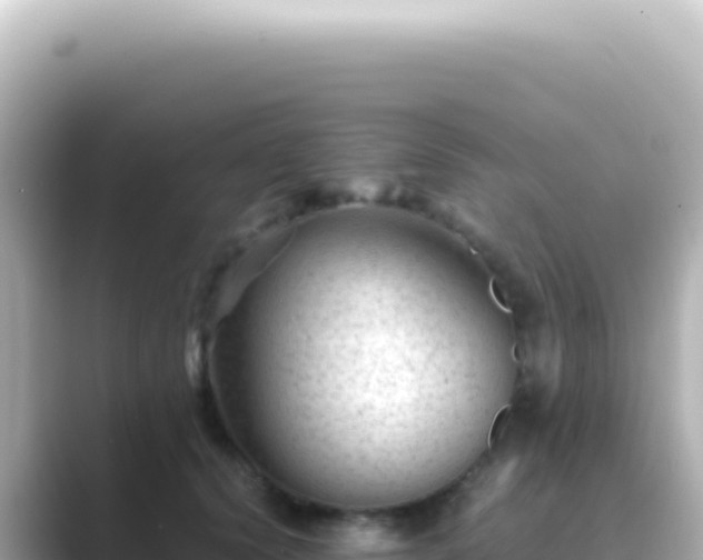 X0000089450656200706221248