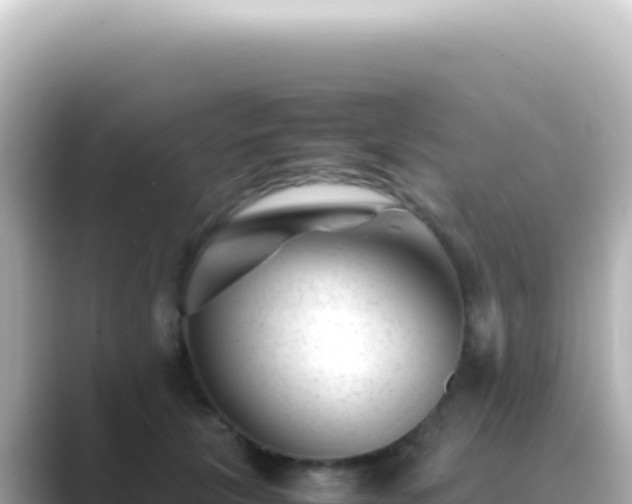 X0000089450657200706221248