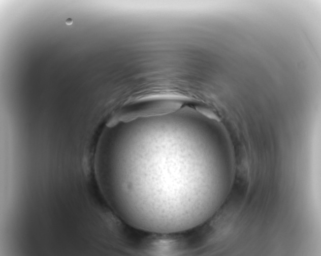 X0000089450658200706221248