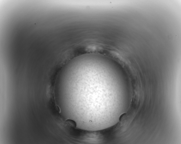 X0000089450659200706221248