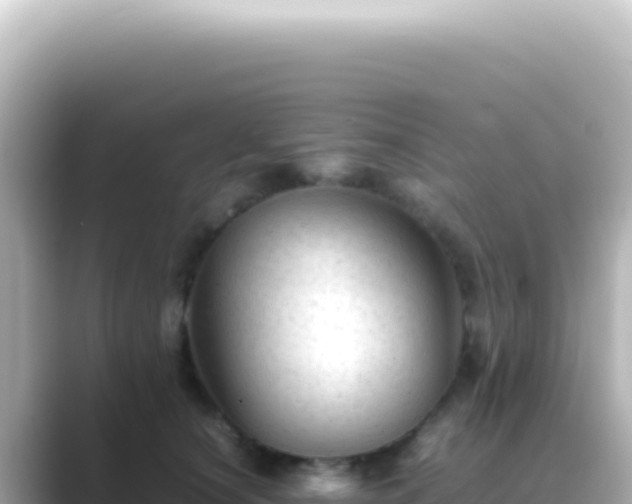 X0000089450660200706221248
