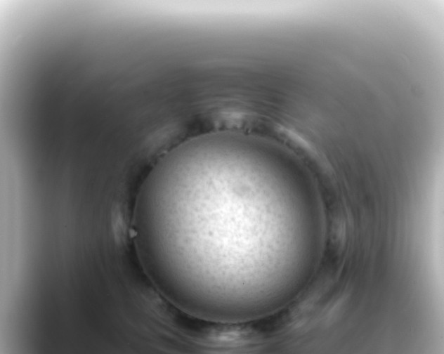X0000089450661200706221248