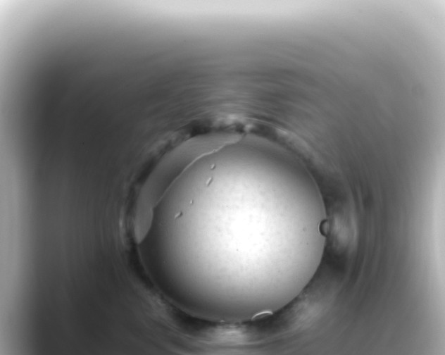 X0000089450668200706221248