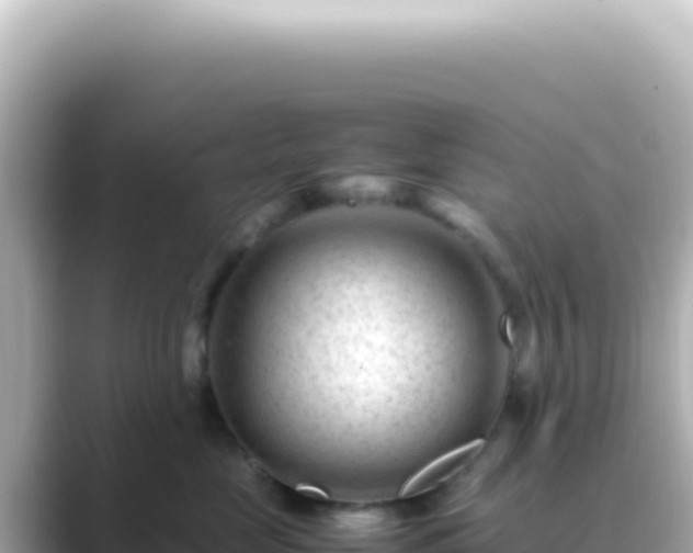 X0000089450669200706221248