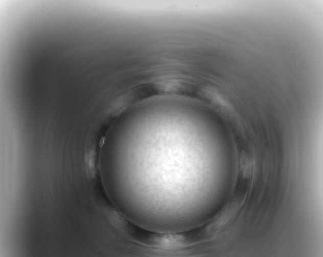 X0000089450670200706221248