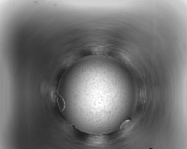 X0000089450671200706221248