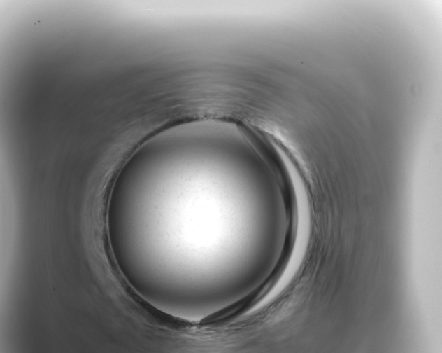 X0000089450673200706221247