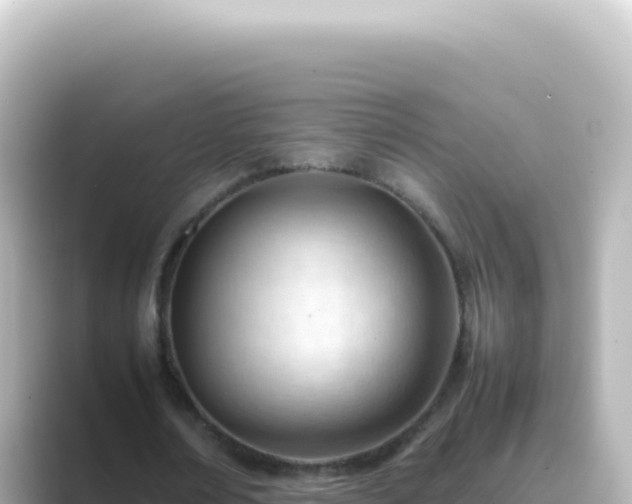X0000089450674200706221247