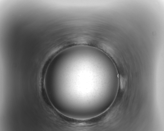 X0000089450675200706221247