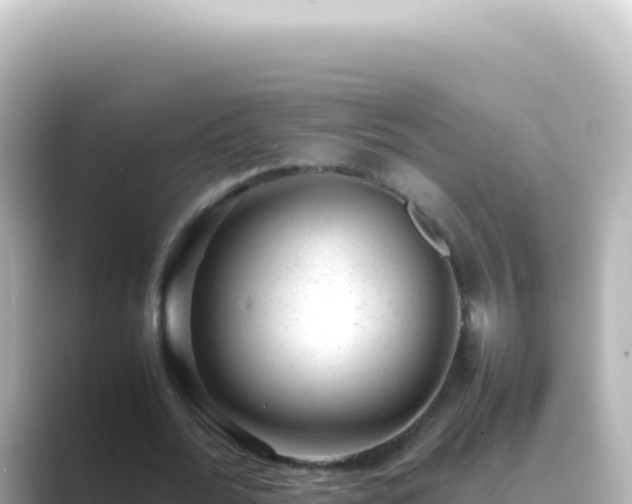 X0000089450676200706221247