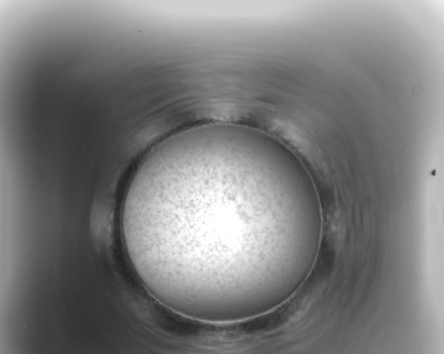 X0000089450679200706221247