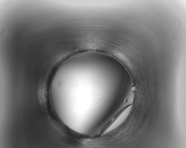 X0000089450680200706221247