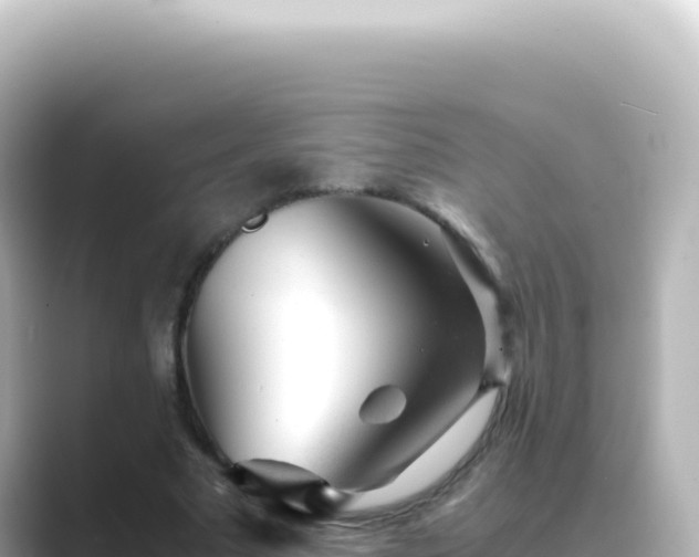 X0000089450681200706221247