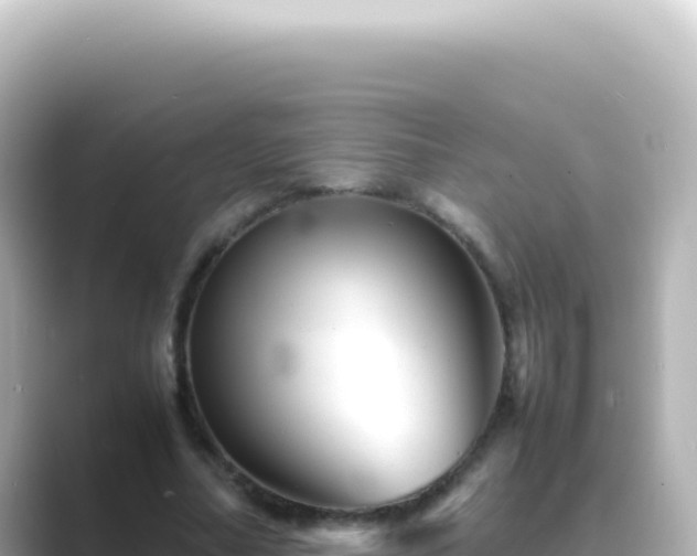 X0000089450682200706221247